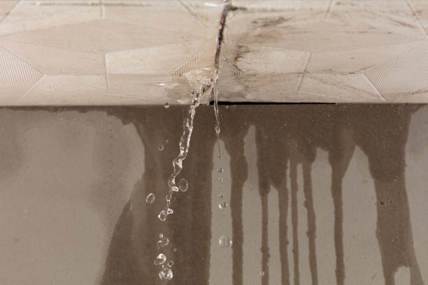 Professional Structural Drying technician working in Macomb, MI